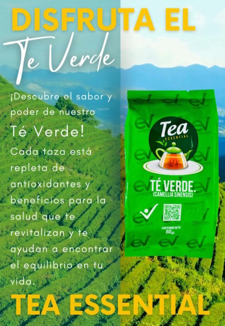 TÉ VERDE ESSENTIAL: Vitalidad y Equilibrio Natural
