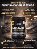 MuscleTech Platinum 100% Creatina Monohidratada (400g) – Ultra Pura y Micronizada Te sientes estancado en tus entrenamientos o te cuesta ver resultados reales